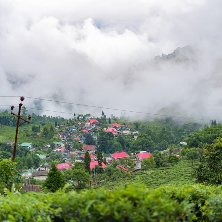 Family terraces and cafés for calm evenings in Milan